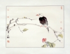 Singvogel im Frühling - Aquarell von Ren Tao - rentao005