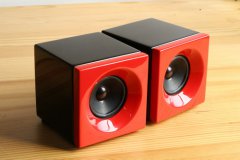 QINPU DV-1 Bassreflex-System